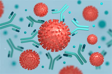 Immune response after mild COVID