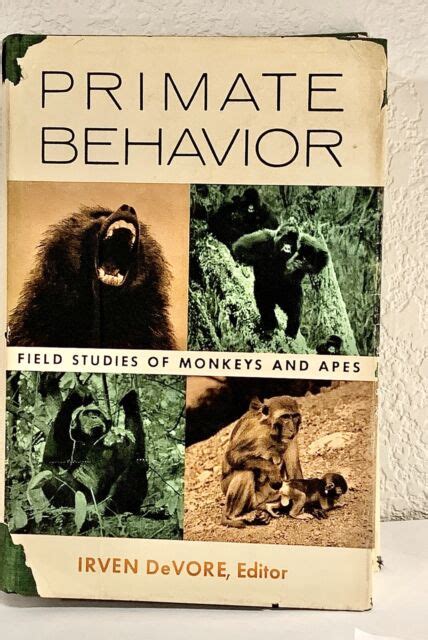 Primate Behavior Field Studies Of Monkeys And Apes 1965 Edited by Irven ...