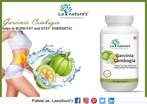 Garcinia CambogiaGet benefits of Garcinia Cambogia sitting at home. #STAYSAFE #STAYHEALTHY ...