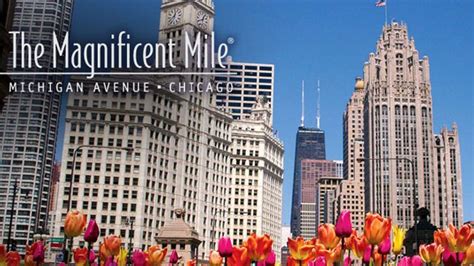 Chicago's First Shopping Festival on Magnificent Mile