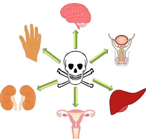 The Tricky Target Organ Toxicology – Toxicokinetics and Toxicodynamics course - Student blogs