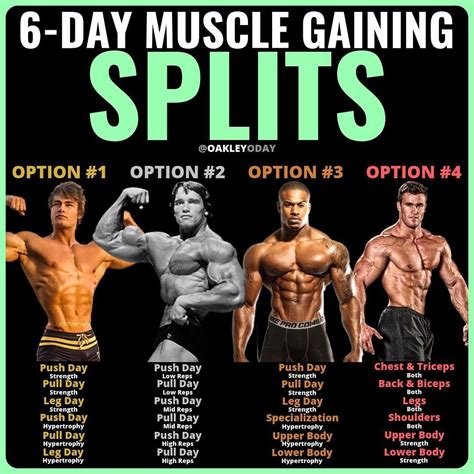 8 Powerful Muscle Building Gym Training Splits - GymGuider.com | Workout routine, Weight ...