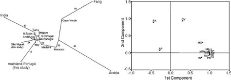 The Portuguese genetic background in analysis: São Miguel Island ...