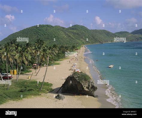 South Friars Bay, St Kitts, Caribbean Stock Photo: 31168257 - Alamy