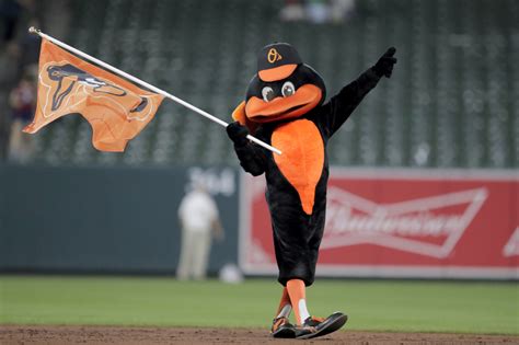 The Oriole Bird to join the Mascot Hall of Fame | WTOP