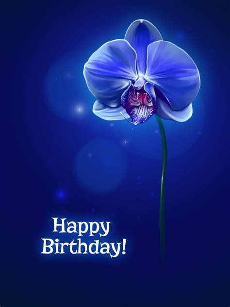 Happy Birthday Orchids Pictures - Get More Anythink's