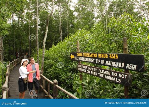 Tanjung Piai National Park Royalty-Free Stock Photography | CartoonDealer.com #113302805