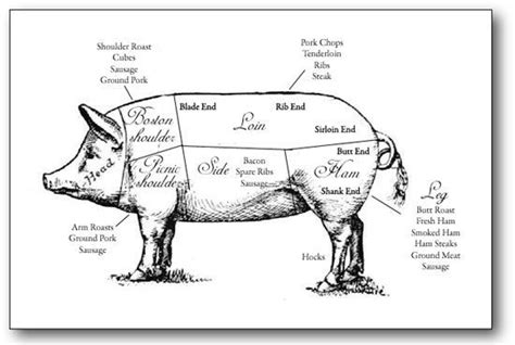 Whole Berkshire Pork - Cascade Brook Farm