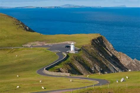 Discovering Shetland's Wildlife: A Visitor's Guide - Nature Roamer