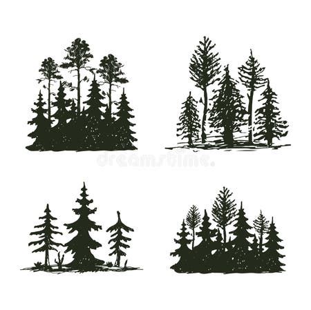 Pine Tree Branch Drawing Stock Illustrations – 24,013 Pine Tree Branch ...