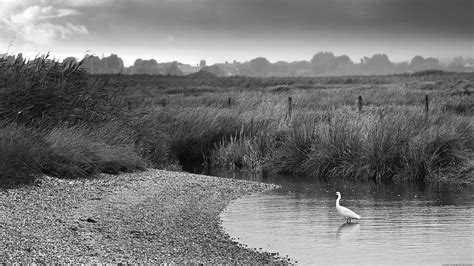 Morning Landscape | Taken at Barn Bight, a small inlet/bay o… | Flickr