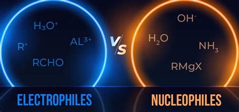 Electrophile and Nucleophile: Definition, Types, and Examples