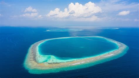 Bing HD Wallpaper 23 Jan 2024: Maldives - Bing Wallpaper Gallery