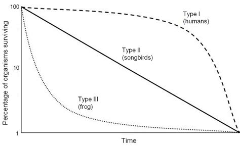 Survivorship curve - Wikipedia | Chart, Line graphs, Ap environmental ...