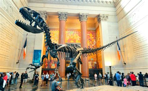 American Museum of Natural History, New York - photos, history ...