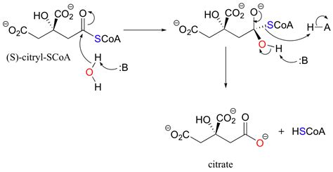 12.3: Thioesters - Chemistry LibreTexts