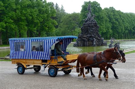 Free Images : vintage, cart, old, transportation, transport, dray, coach, traditional, coachman ...