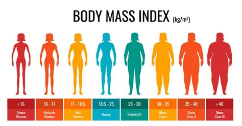 Bmi Calculator 2025 - Teddy Malinde