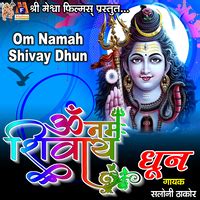 Om Namah Shivay Dhun Songs Download, MP3 Song Download Free Online - Hungama.com