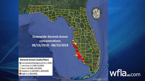 FWC Update: Medium concentration of red tide found at Madeira Beach