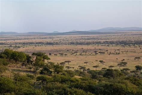 6 Amazing Plains of Africa to Discover and Explore