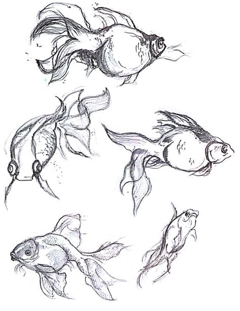 Dancing with Fish - Pencil Drawing | Sketsa, Sketsa hewan, Cara menggambar