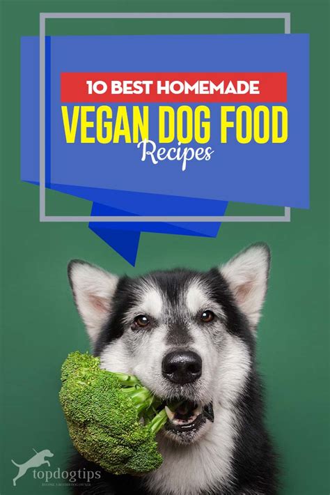 10 Best Homemade Vegan Dog Food Recipes