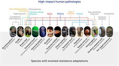 Frontiers | The future of evolutionary medicine: sparking innovation in ...