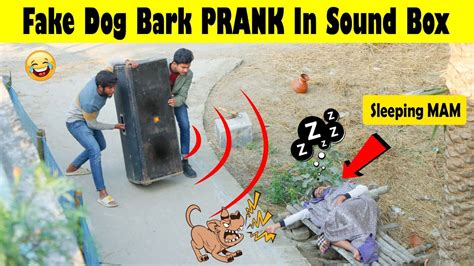 Fake Dog Bark PRANK In Sound Box | In Public Funny Reaction. 😂😂😂 By MR ...