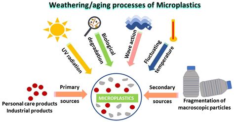 Water | Free Full-Text | Microplastics in the Ecosystem: An Overview on ...