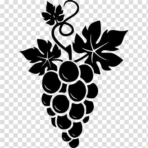 Clipart Grapes ~ easy drawing cool