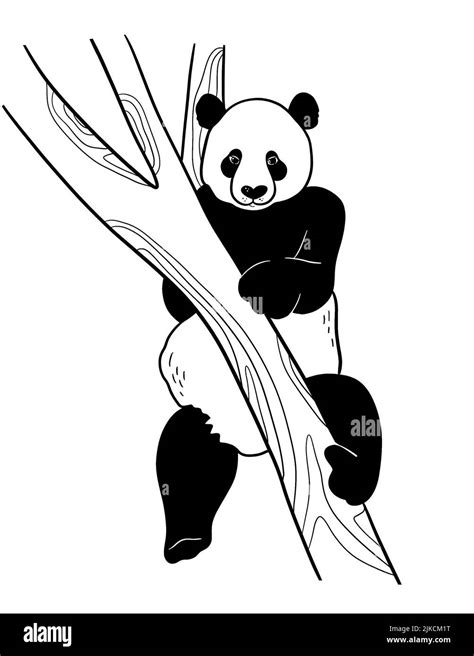 Black panda in cartoon style on white background Stock Photo - Alamy