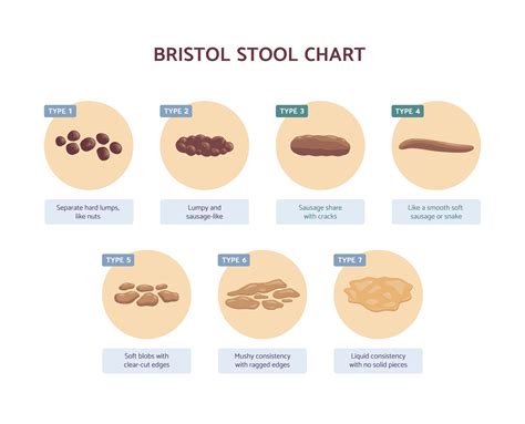 A Functional Medicine Approach to Loose Stool in Pediatrics