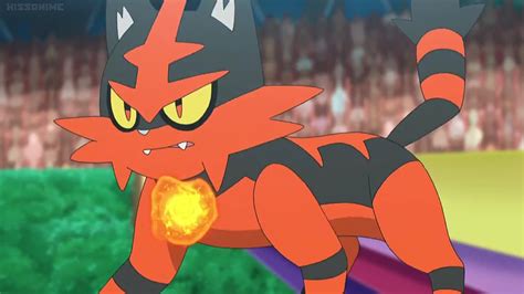 Pin on torracat | Pokemon, Pokemon pictures, All anime characters