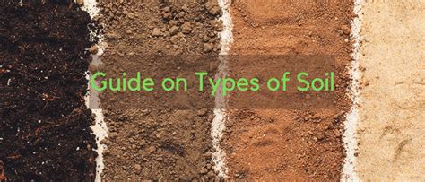 Main Types of Soil: Classification of Soil [Full Guide] - Civil Engineering Forum