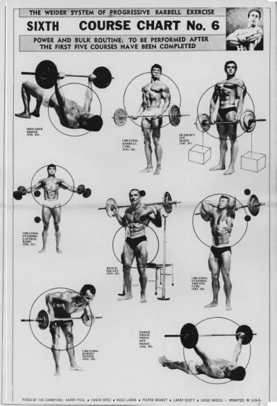 Old School Bodybuilding Charts. Compiled by Veeraj Goyaram ~ BODYBUILDING MAURITIUS & SOUTH AFRICA