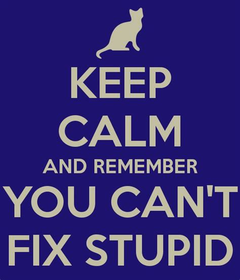 You Can T Fix Stupid Quote - ShortQuotes.cc