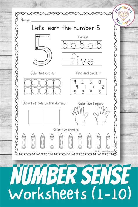 Number Sense Worksheets 1-10 (Printable Kindergarten PDF) - Nurtured ...