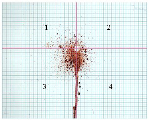 Forensic Sciences | Free Full-Text | Defining Patterns and Behaviours ...