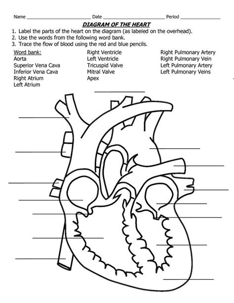 Simple Heart Diagram label | School | Clipart library - Clip Art ...