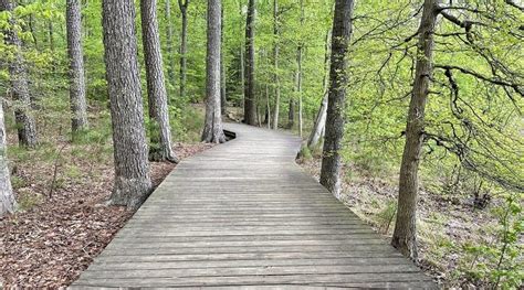 White Oak Nature Trail: A Wetlands Hike at Newport News Park