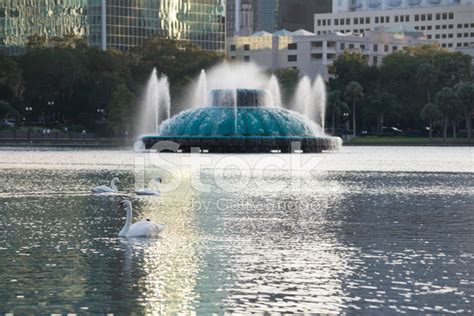 Lake Eola Fountain Stock Photo | Royalty-Free | FreeImages