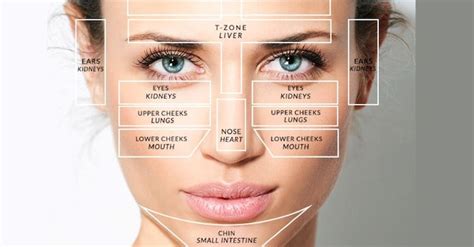 Traditional Medicine's Face Map Reveals What Part Of Your Body Is Sick ...