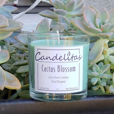 Cactus Blossom - Soy Wax Candle - Candelitas