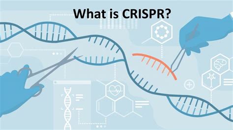 CRISPR Cas9 Explained - YouTube