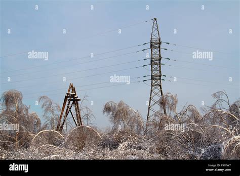 beautiful winter forest in Russia Stock Photo - Alamy