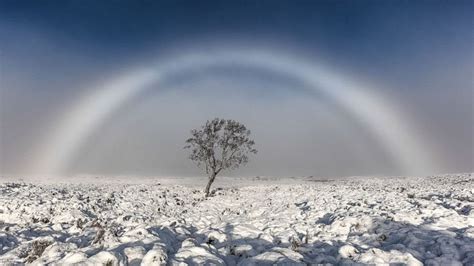 🔥 White Rainbow : r/NatureIsFuckingLit