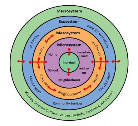 What is the ecosystem theory