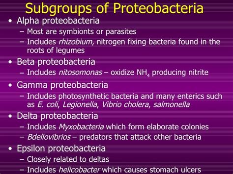 Bacteria & Viruses