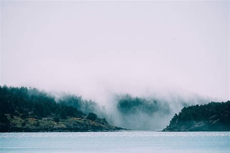body, water, covered, fog, landscape photo, nature, lake, landscape ...